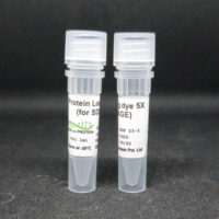Protein Loading dye 5X (For SDS-PAGE) Cover Image
