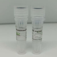 Proteinase K (10 mg/mL) Cover Image
