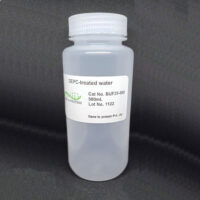BUF29-500-DEPC-treated water