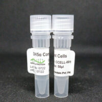 DH5α Competent Cells (Set of 10 vials) Cover Image