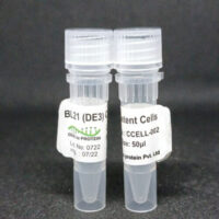 BL21 (DE3) Competent Cells (Set of 10 vials) Cover Image