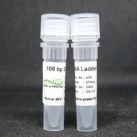 100 bp DNA Ladder [100 -1,500 bp] Cover Image