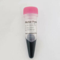 Broad Range MW Protein Marker (Prestained: Tri Colour) [10-180kDa] Cover Image