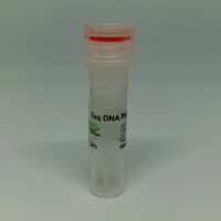 Taq DNA Polymerase with Opti Buffer Pack