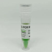 High Fidelity PCR Master Mix 2X (With Dye) Cover Image