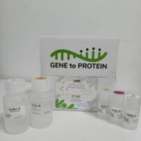 G2P SpinClean Plasmid prep kit Cover Image