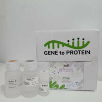 ​​PUR13-50-G2P SpinClean PCR Cleanup Kit