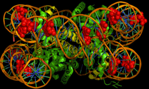 Modifying Enzymes Cover Image